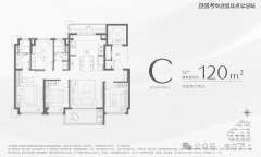 卫生办事核心曲线m