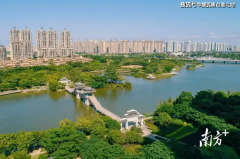 这些景不雅可能花圃、草坪、树木等